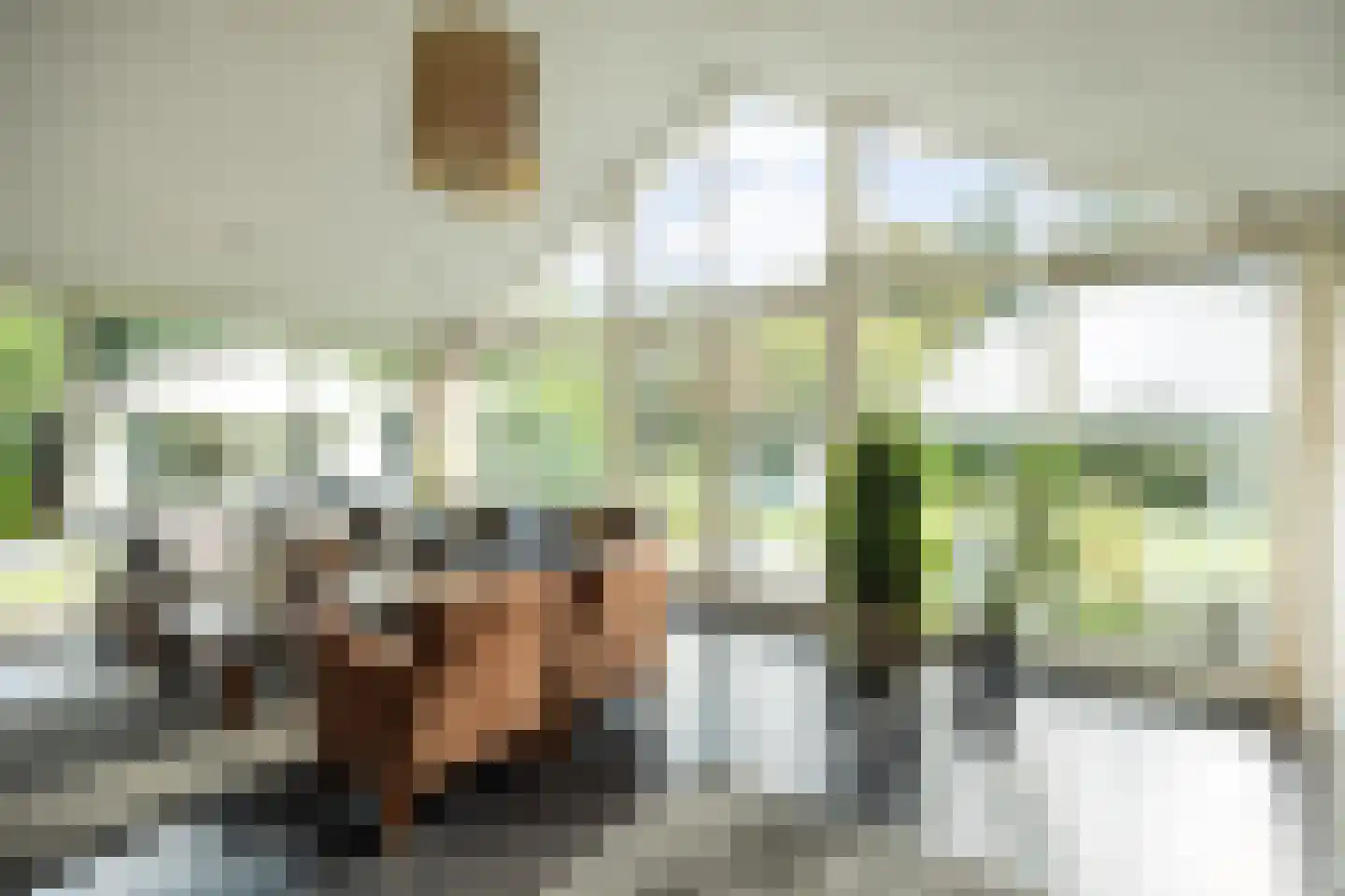 De Bleek 1 Liempde thumbnail 10