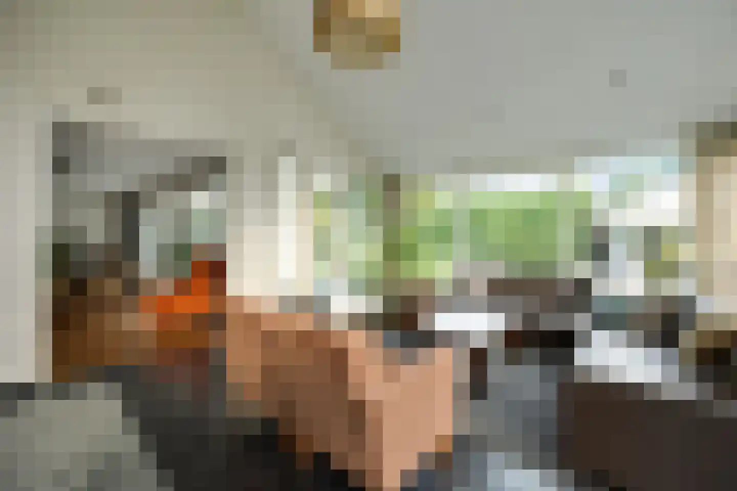 De Bleek 1 Liempde thumbnail 13