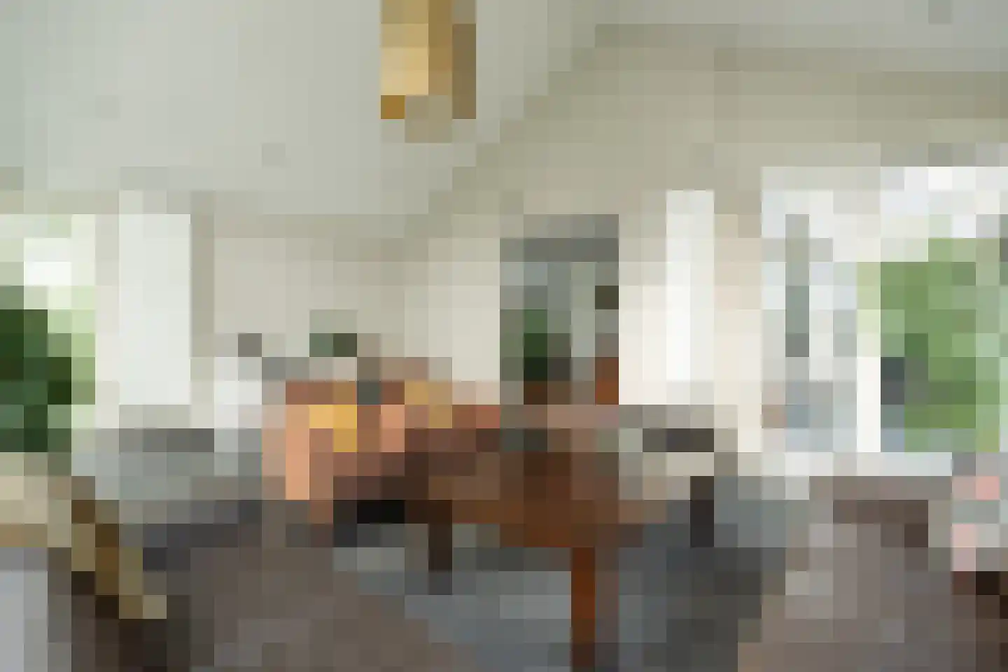 De Bleek 1 Liempde thumbnail 14