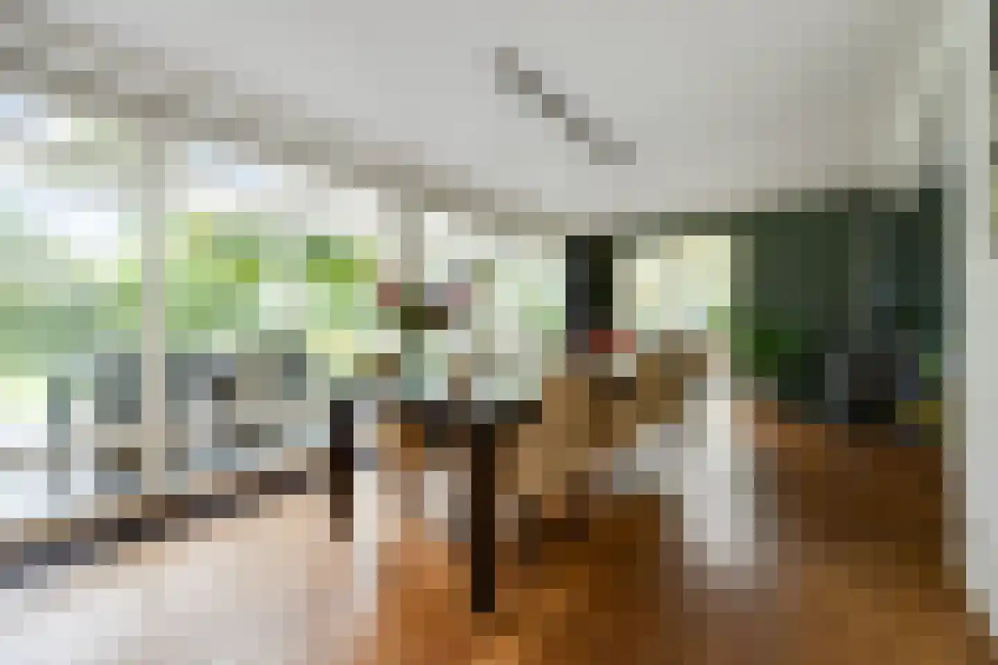 De Bleek 1 Liempde thumbnail 15