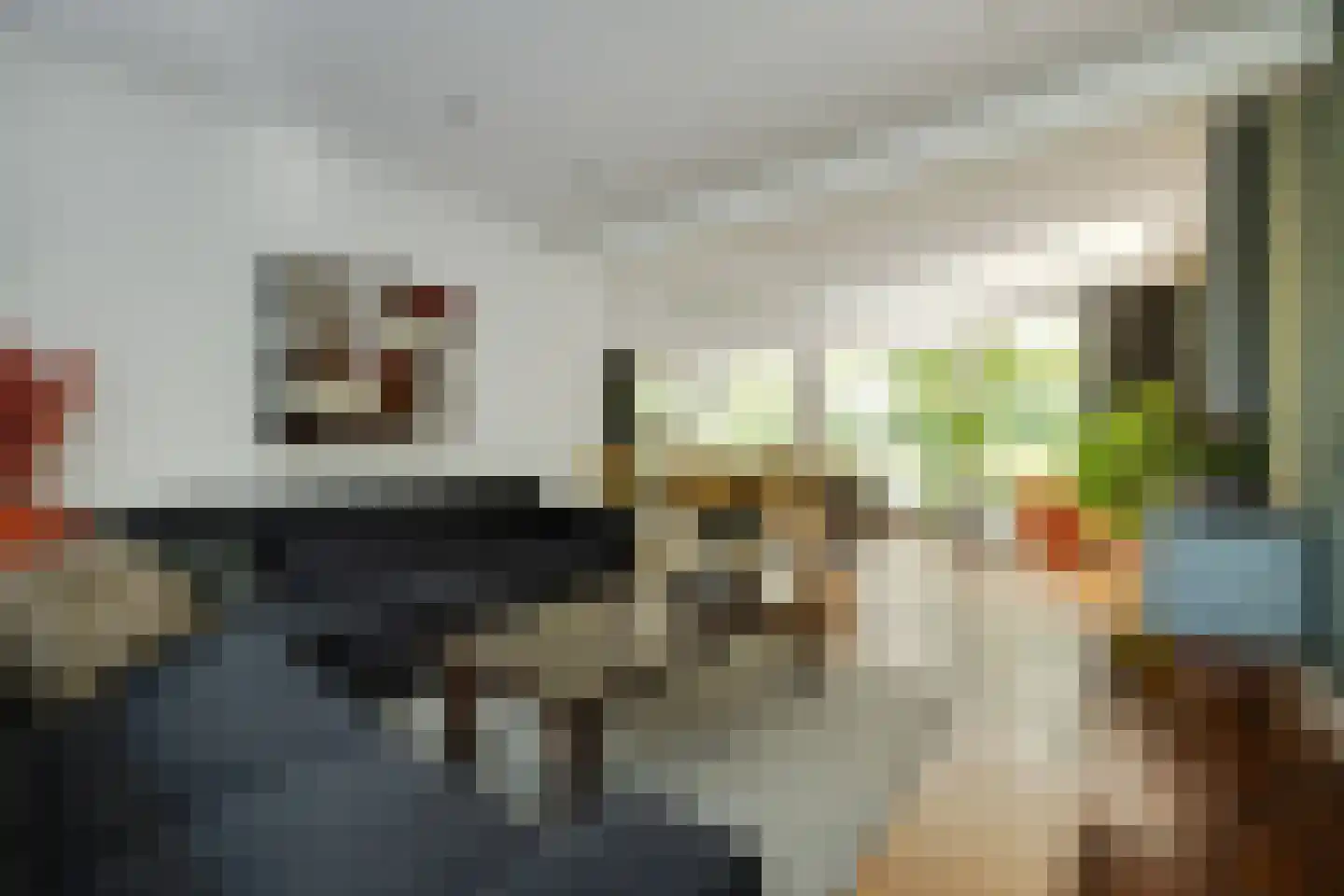 De Bleek 1 Liempde thumbnail 22
