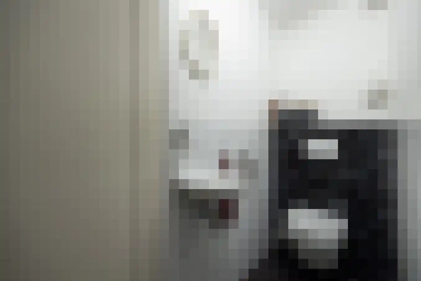 De Bleek 1 Liempde thumbnail 29