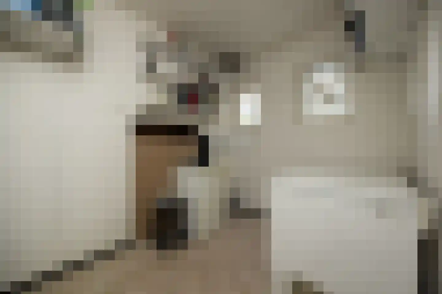 De Bleek 1 Liempde thumbnail 30