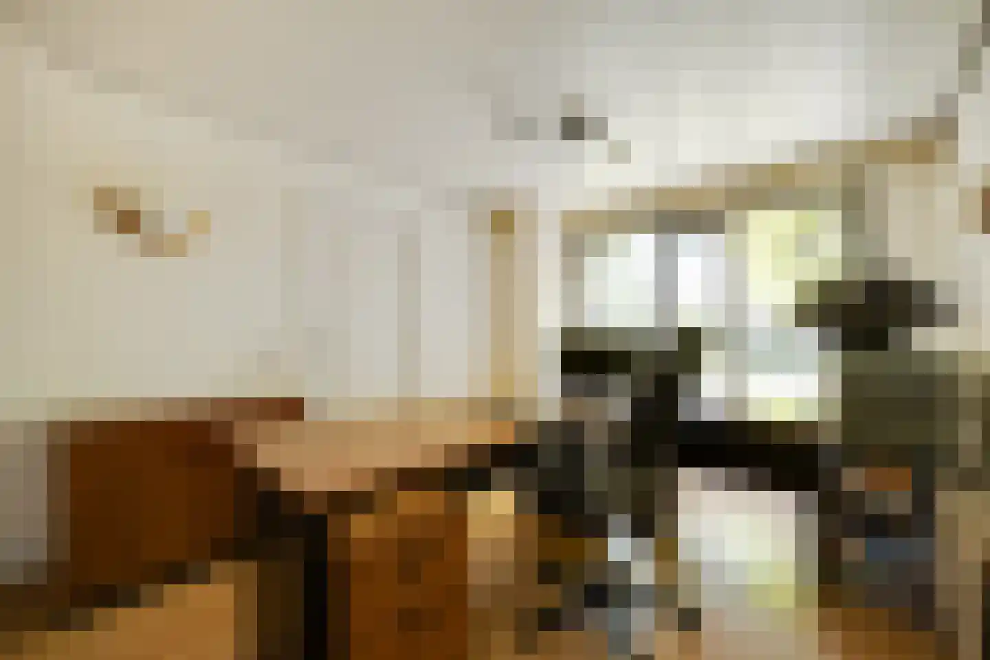 De Bleek 1 Liempde thumbnail 33