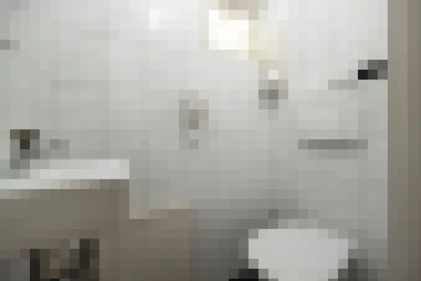 De Bleek 1 Liempde thumbnail 35