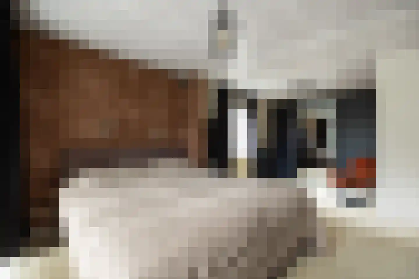 De Bleek 1 Liempde thumbnail 40