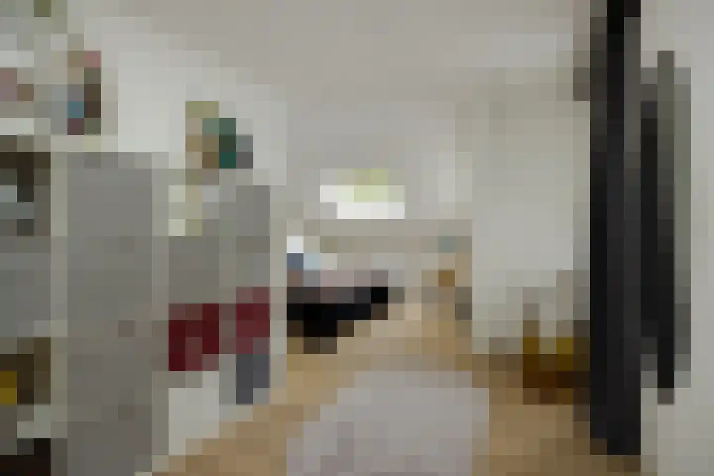 De Bleek 1 Liempde thumbnail 44