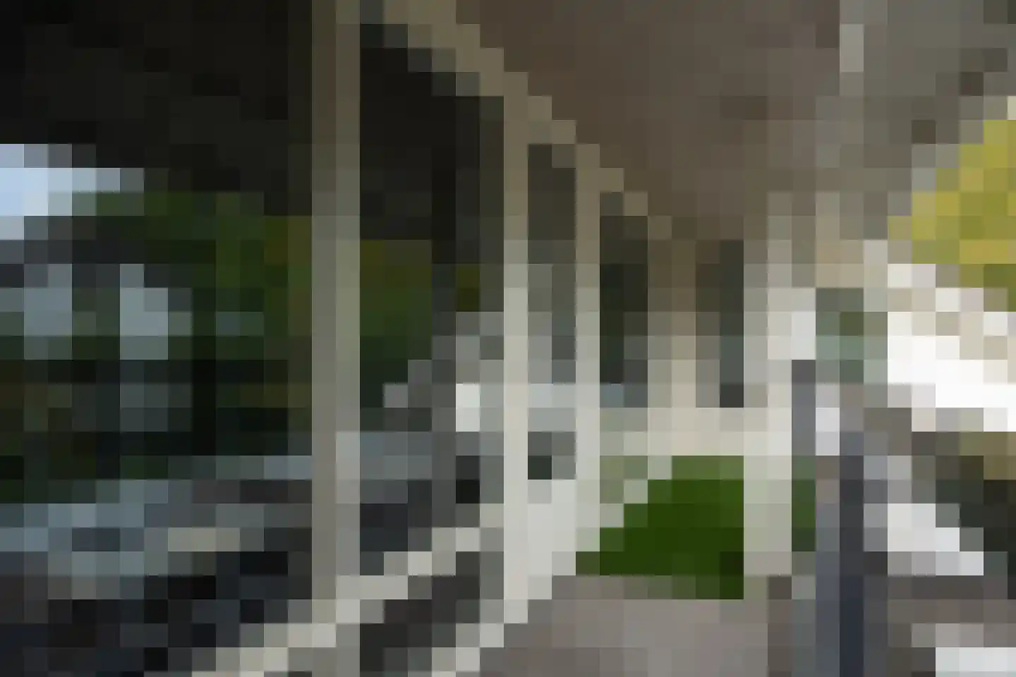 De Bleek 1 Liempde thumbnail 47