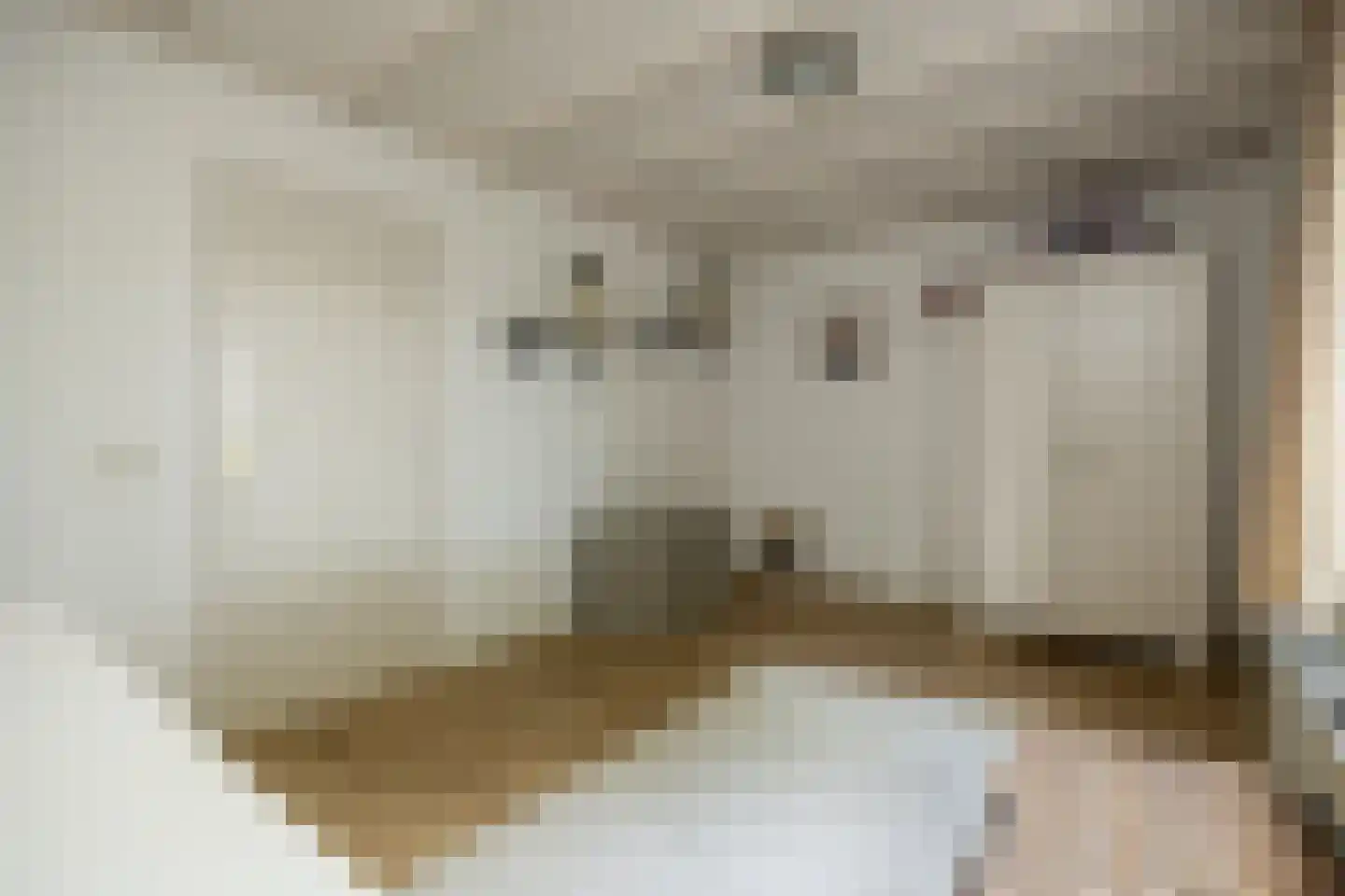 De Bleek 1 Liempde thumbnail 49