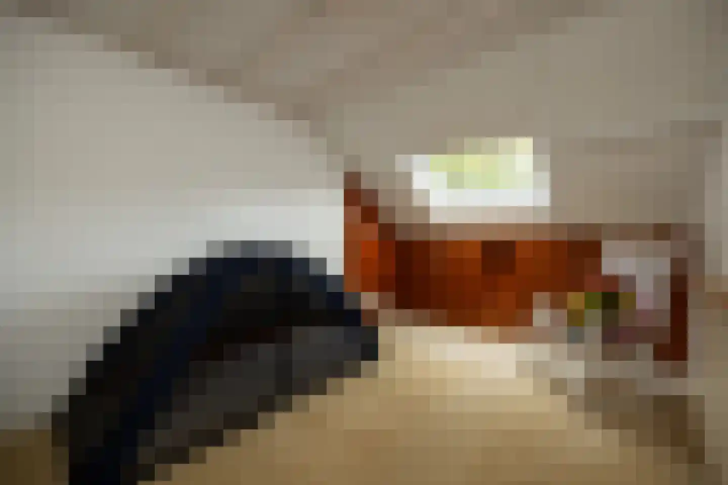 De Bleek 1 Liempde thumbnail 50