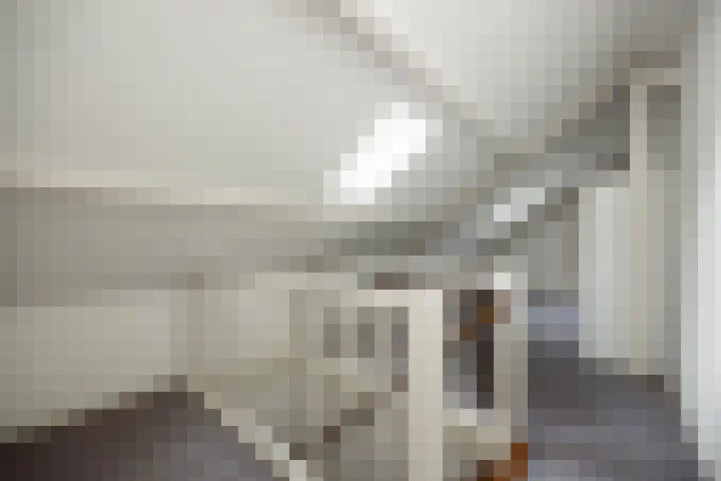 De Bleek 1 Liempde thumbnail 52