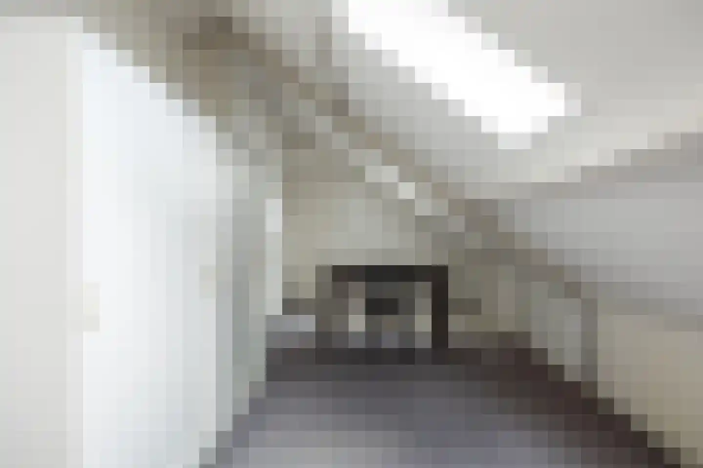 De Bleek 1 Liempde thumbnail 53