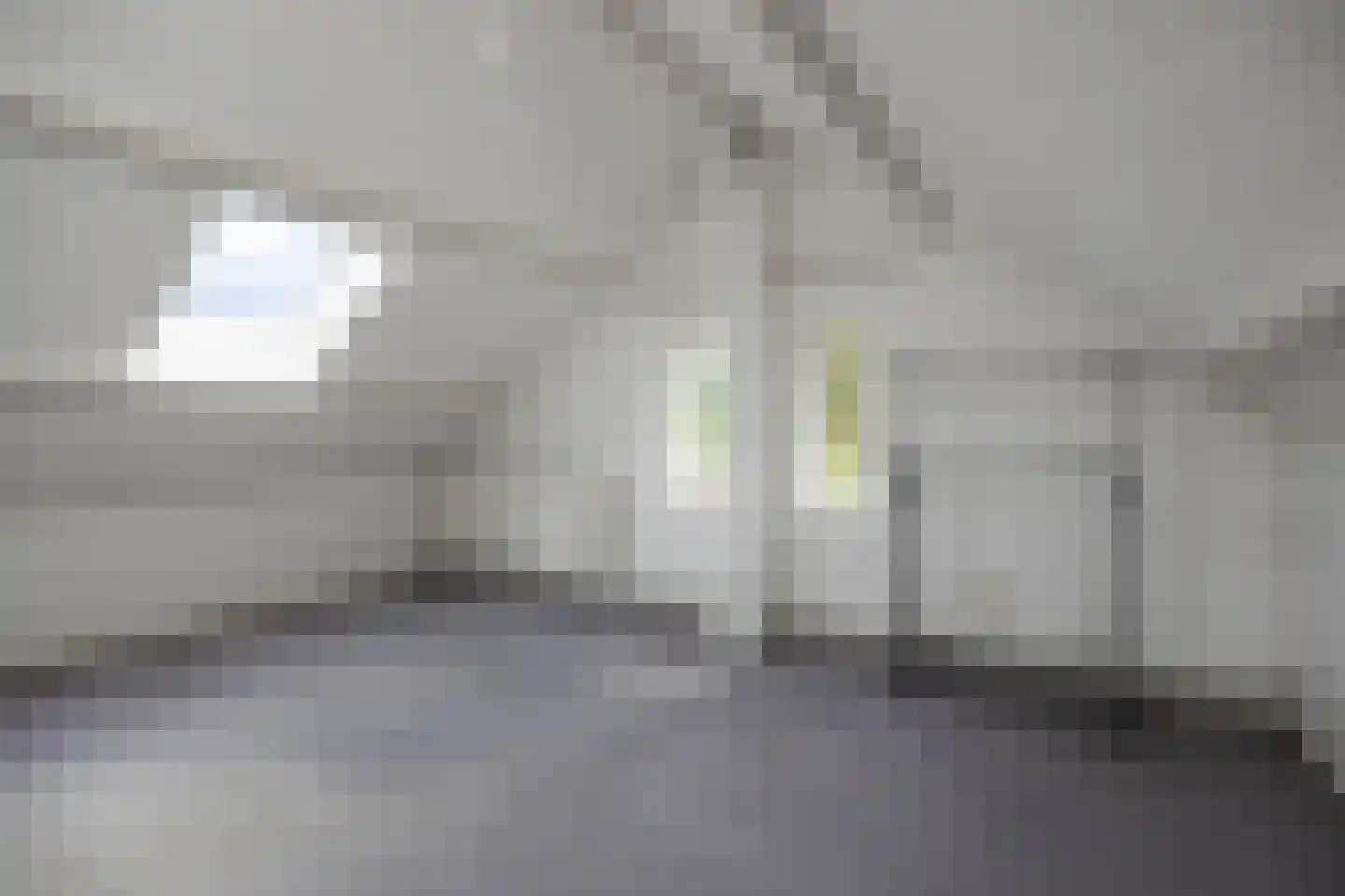 De Bleek 1 Liempde thumbnail 54
