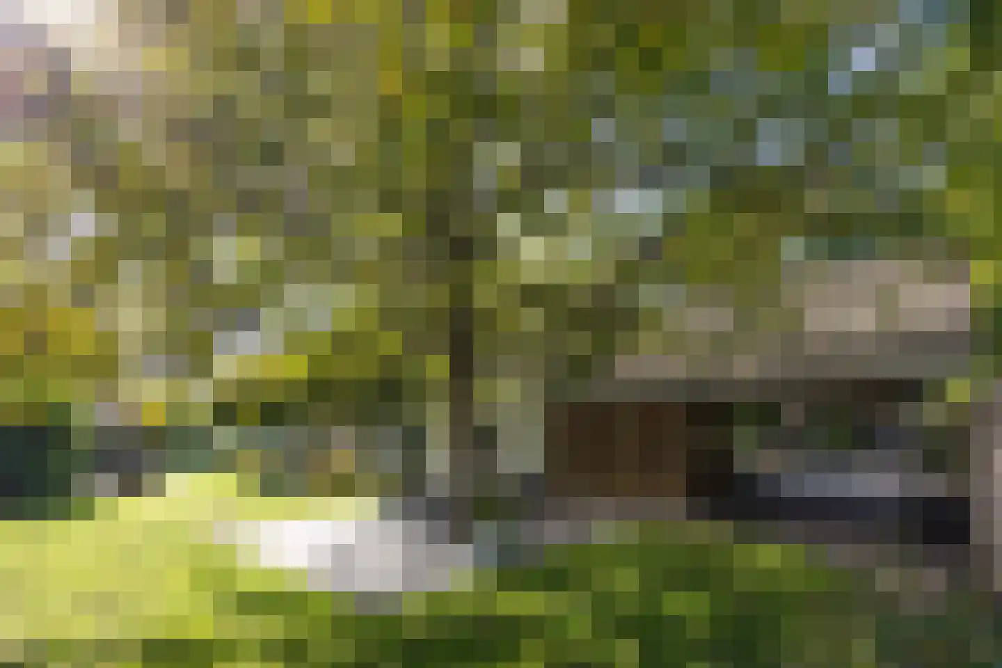 De Bleek 1 Liempde thumbnail 57