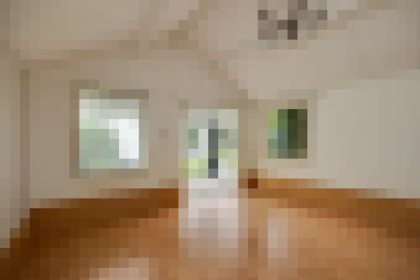 De Bleek 1 Liempde thumbnail 66