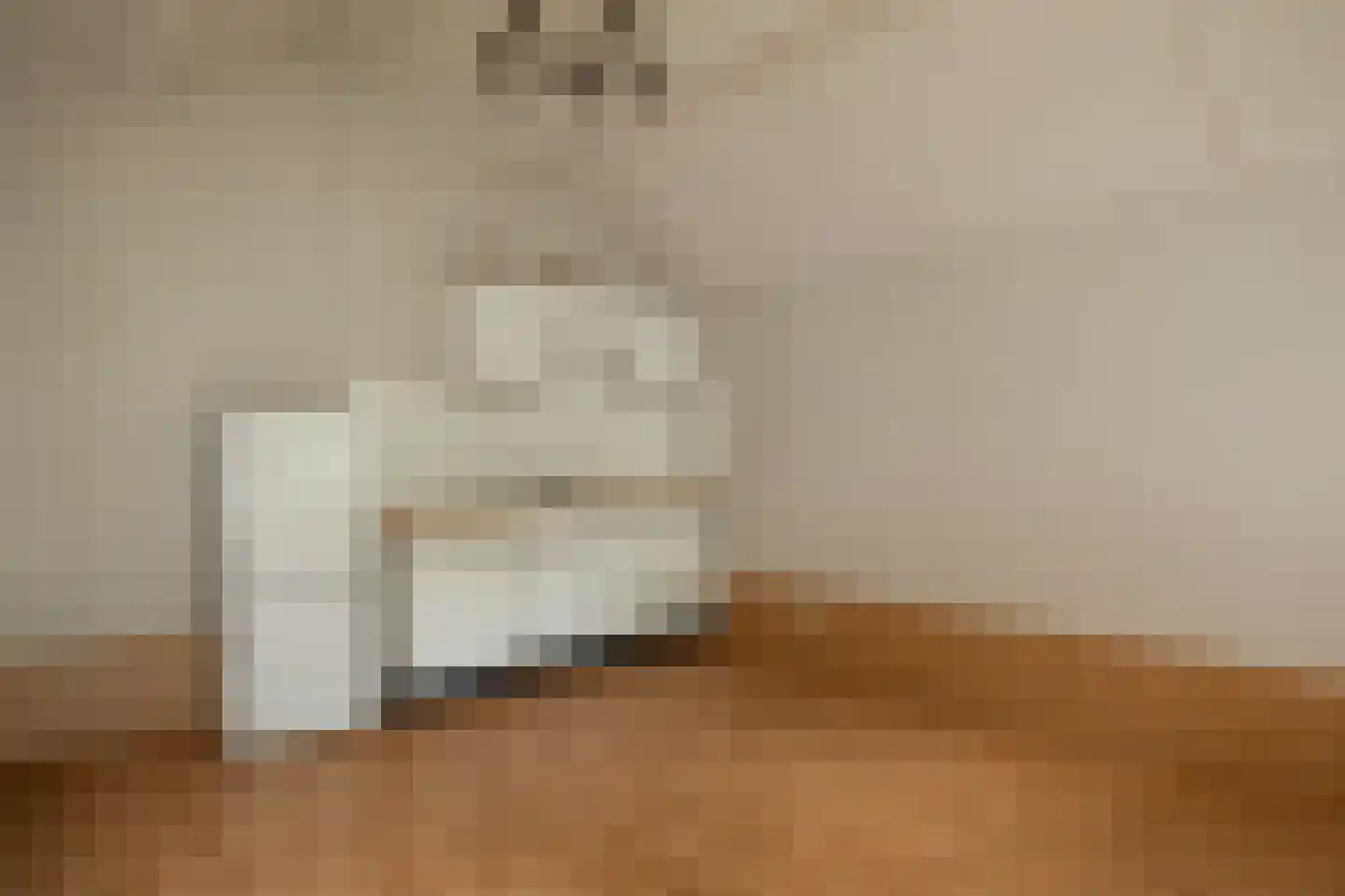 De Bleek 1 Liempde thumbnail 67