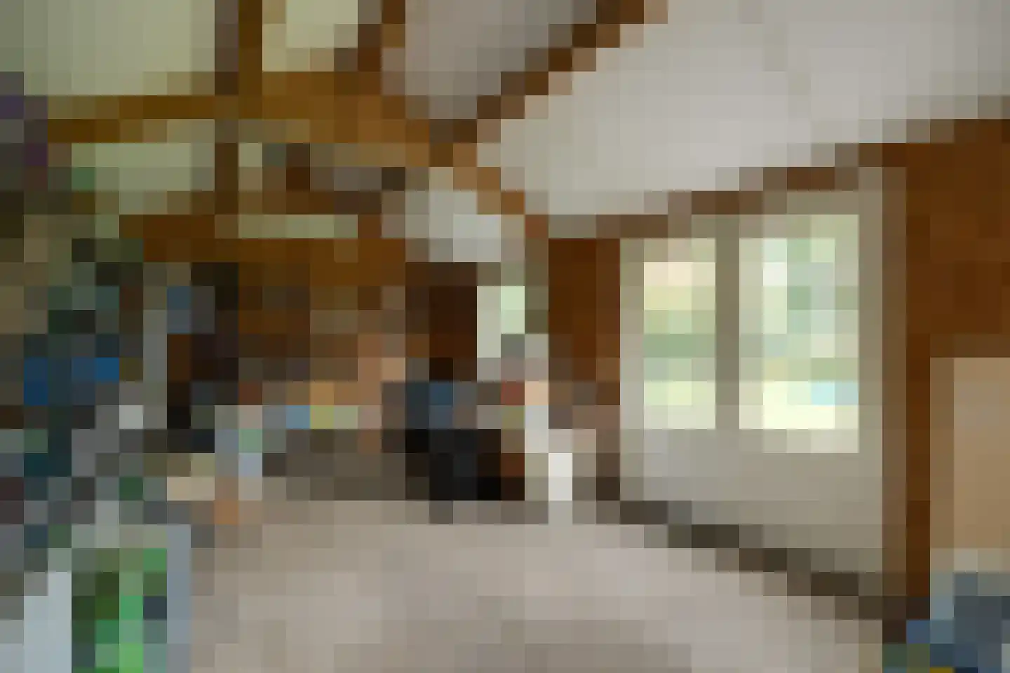 De Bleek 1 Liempde thumbnail 68