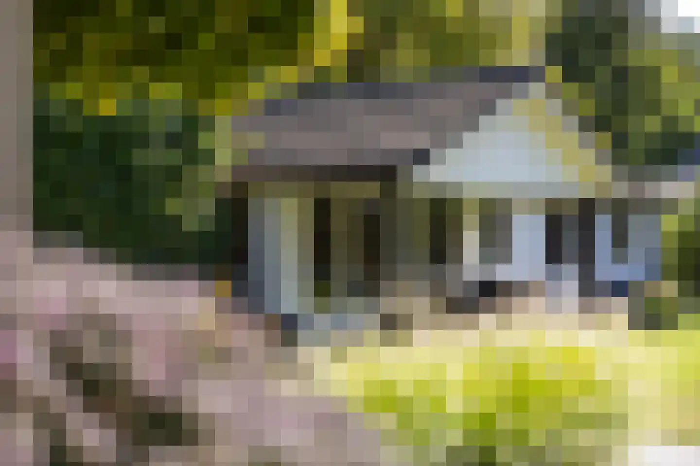 De Bleek 1 Liempde thumbnail 70