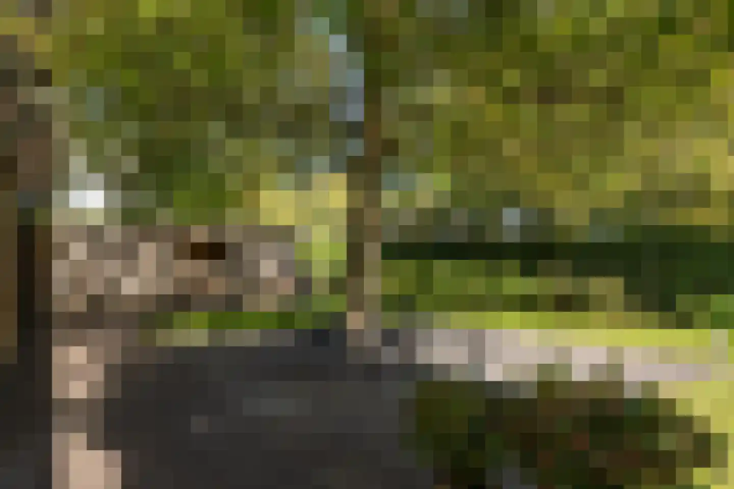 De Bleek 1 Liempde thumbnail 72