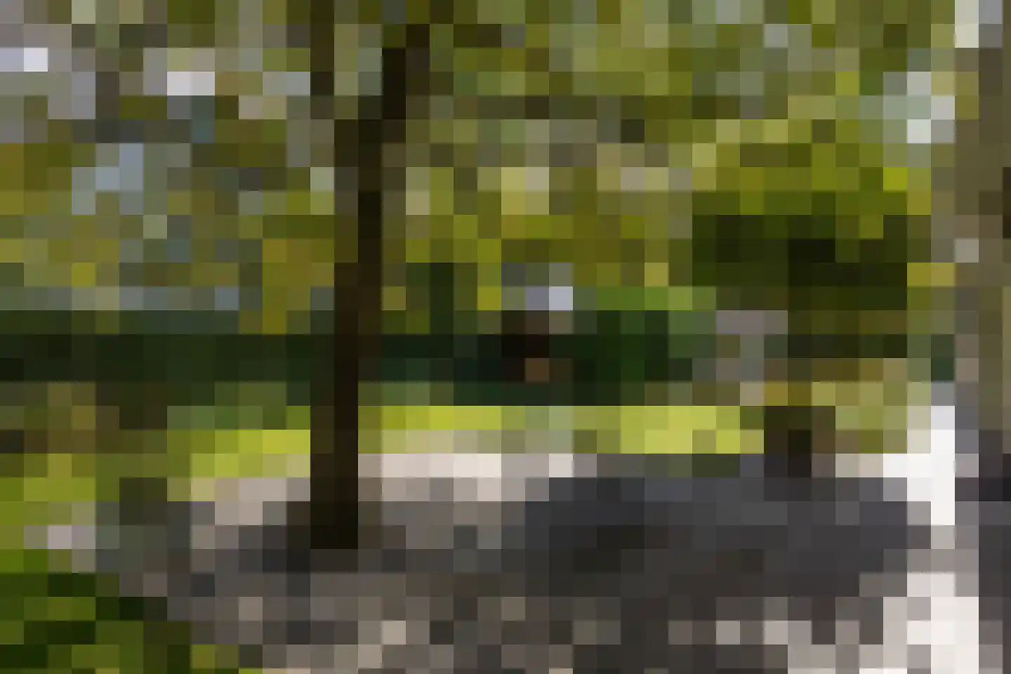 De Bleek 1 Liempde thumbnail 73