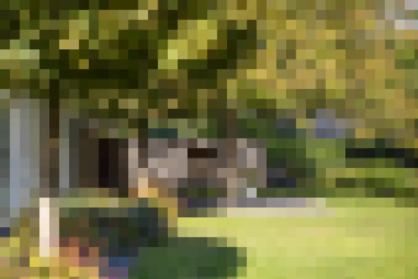 De Bleek 1 Liempde thumbnail 79