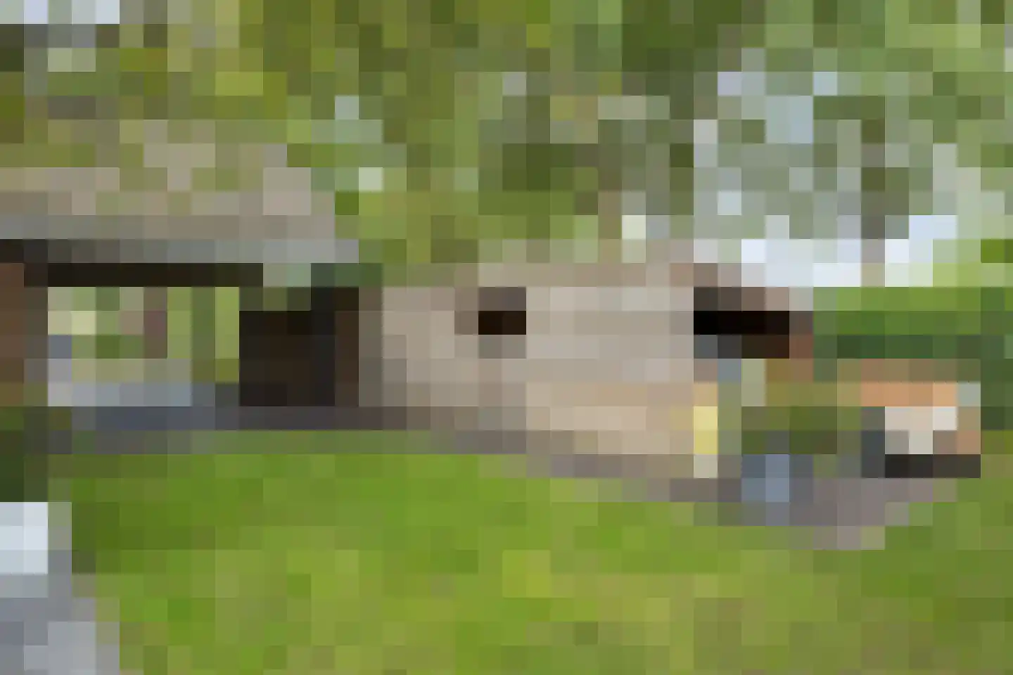 De Bleek 1 Liempde thumbnail 80