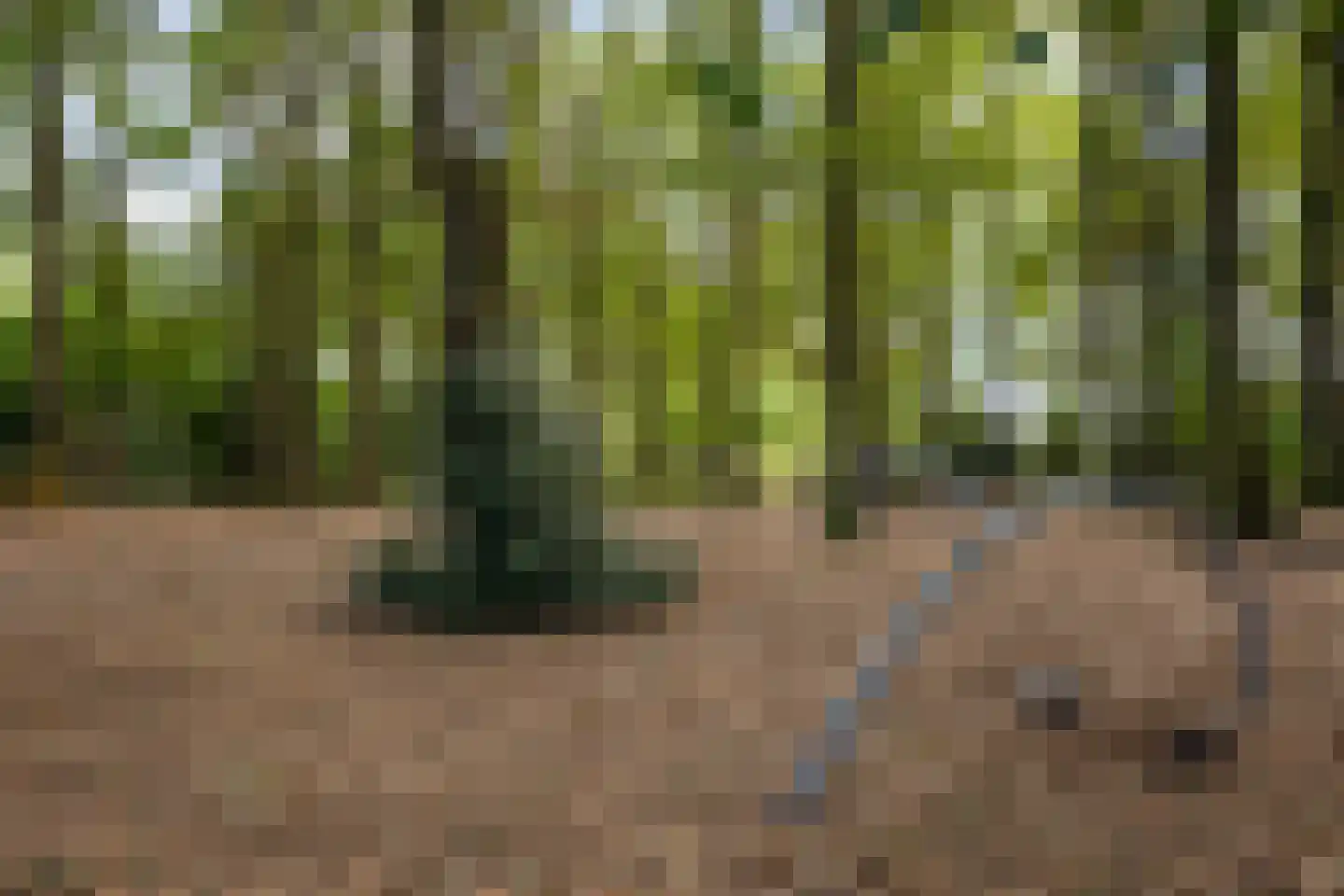De Bleek 1 Liempde thumbnail 86