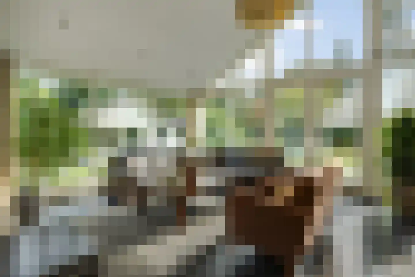 De Bleek 1 Liempde thumbnail 9