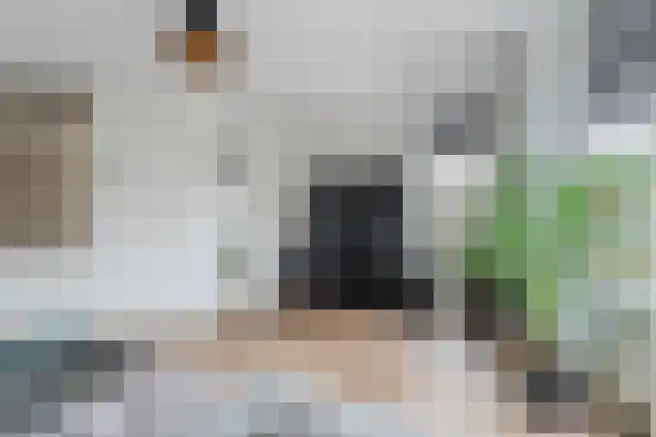 De Bleek 12 Bodegraven thumbnail 11