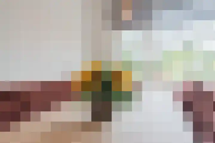 De Bleek 12 Bodegraven thumbnail 14
