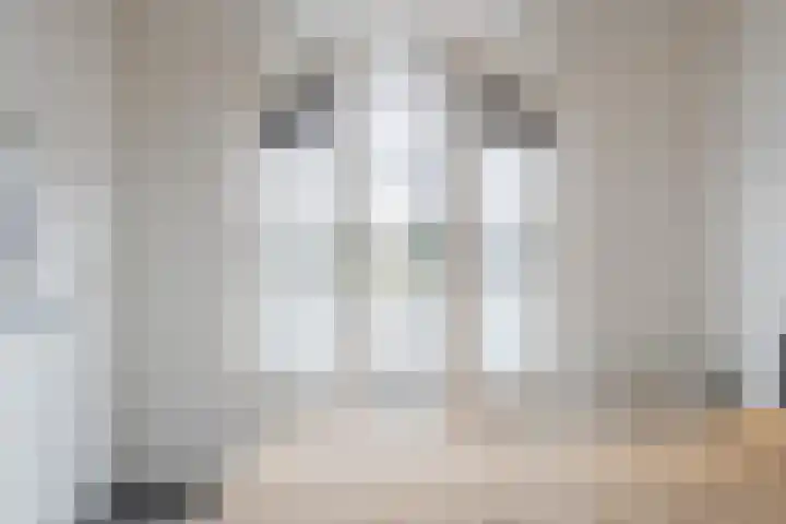 De Bleek 12 Bodegraven thumbnail 19
