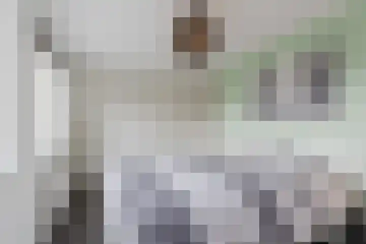 De Bleek 12 Bodegraven thumbnail 22