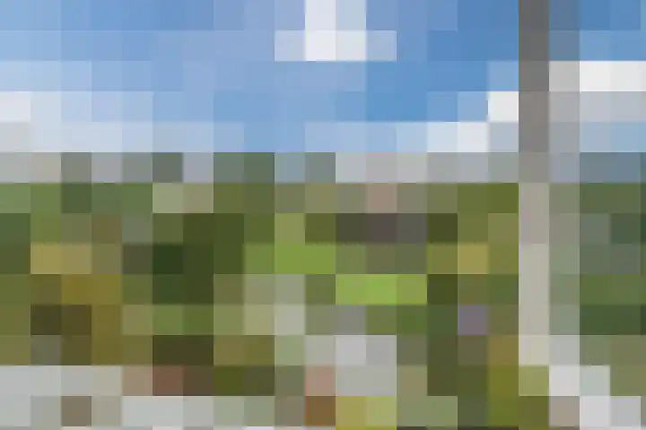 De Bleek 12 Bodegraven thumbnail 30