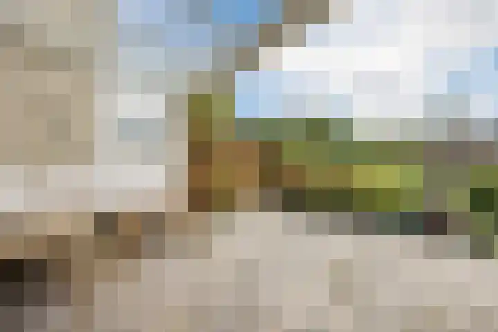 De Bleek 12 Bodegraven thumbnail 31