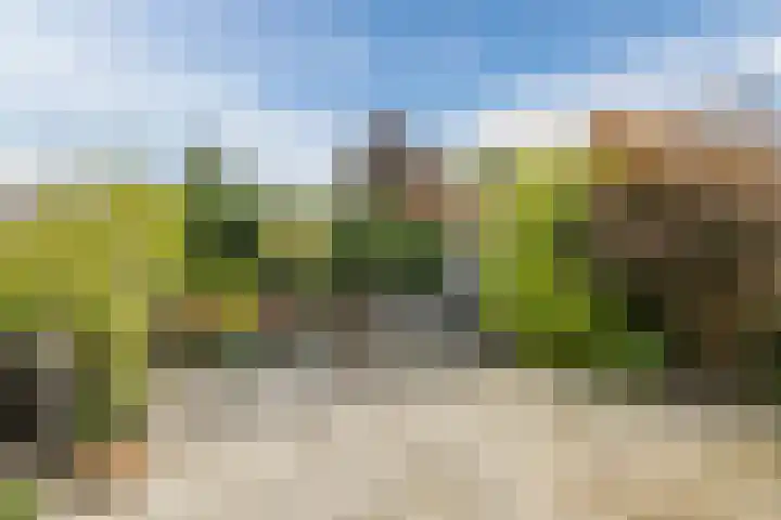 De Bleek 12 Bodegraven thumbnail 33