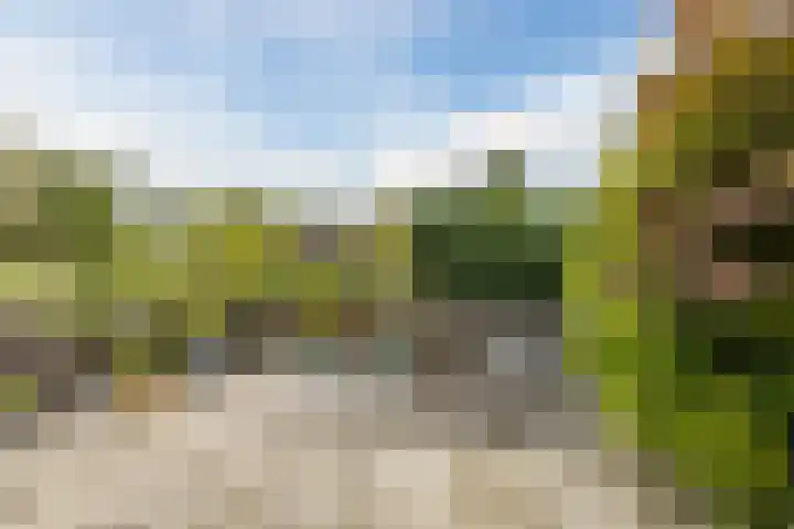 De Bleek 12 Bodegraven thumbnail 34