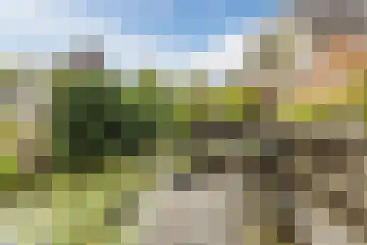 De Bleek 12 Bodegraven thumbnail 36