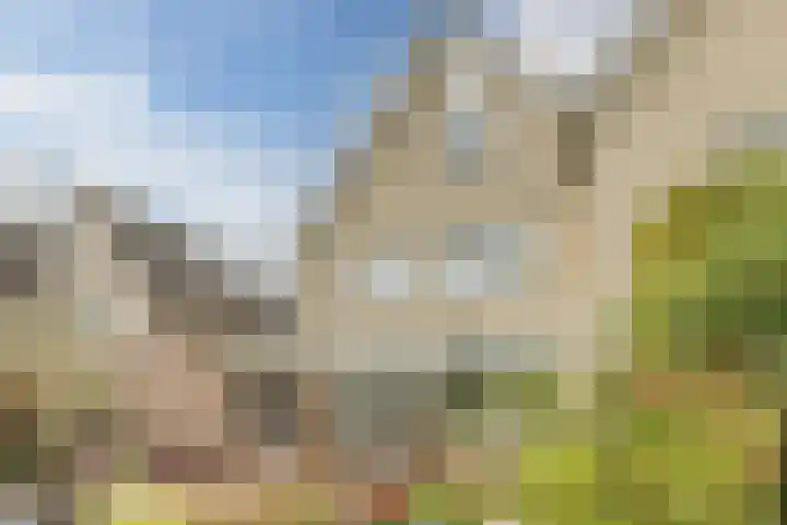 De Bleek 12 Bodegraven thumbnail 37