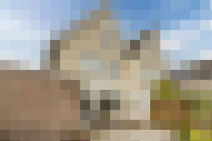 De Bleek 12 Bodegraven thumbnail 39