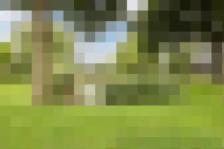 De Bleek 12 Bodegraven thumbnail 41