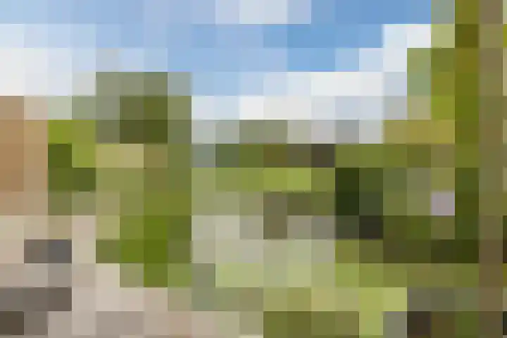 De Bleek 12 Bodegraven thumbnail 6