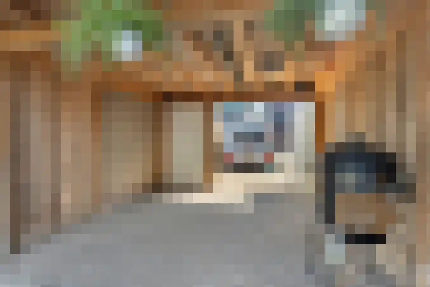 De Bleek 29 Montfoort thumbnail 28