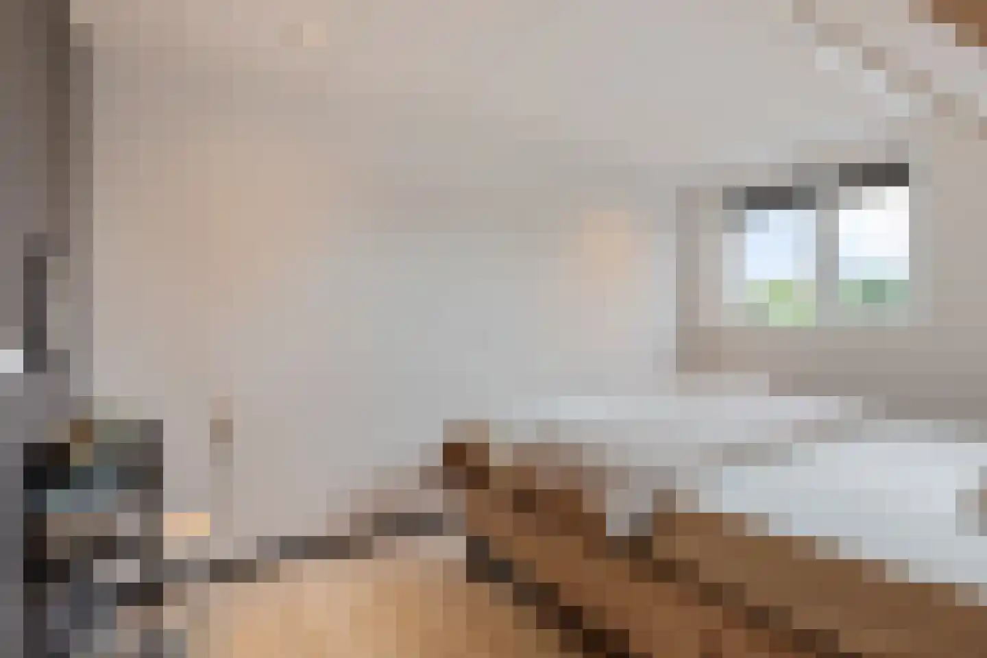 De Bleek 31 Warten thumbnail 21