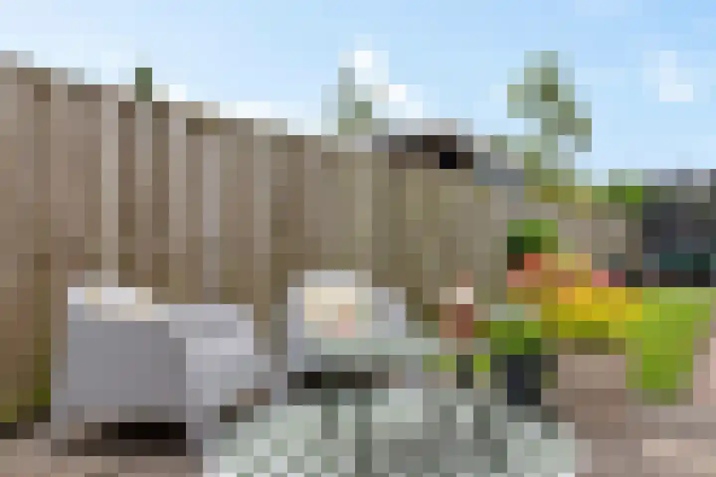 De Bleek 31 Warten thumbnail 37