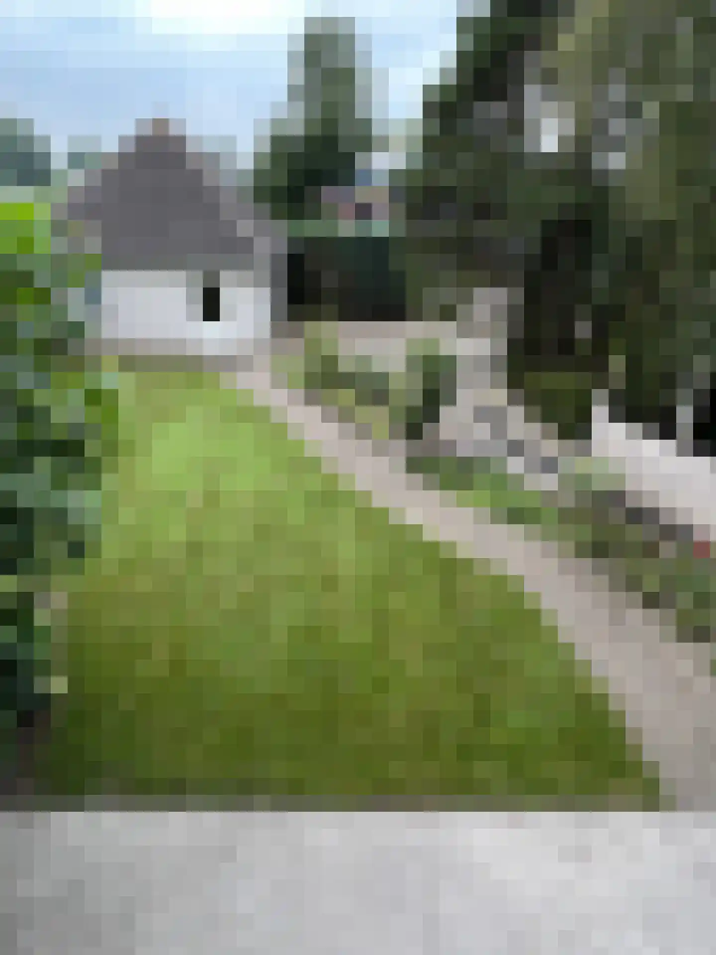 De Bleek 4 Montfoort thumbnail 17
