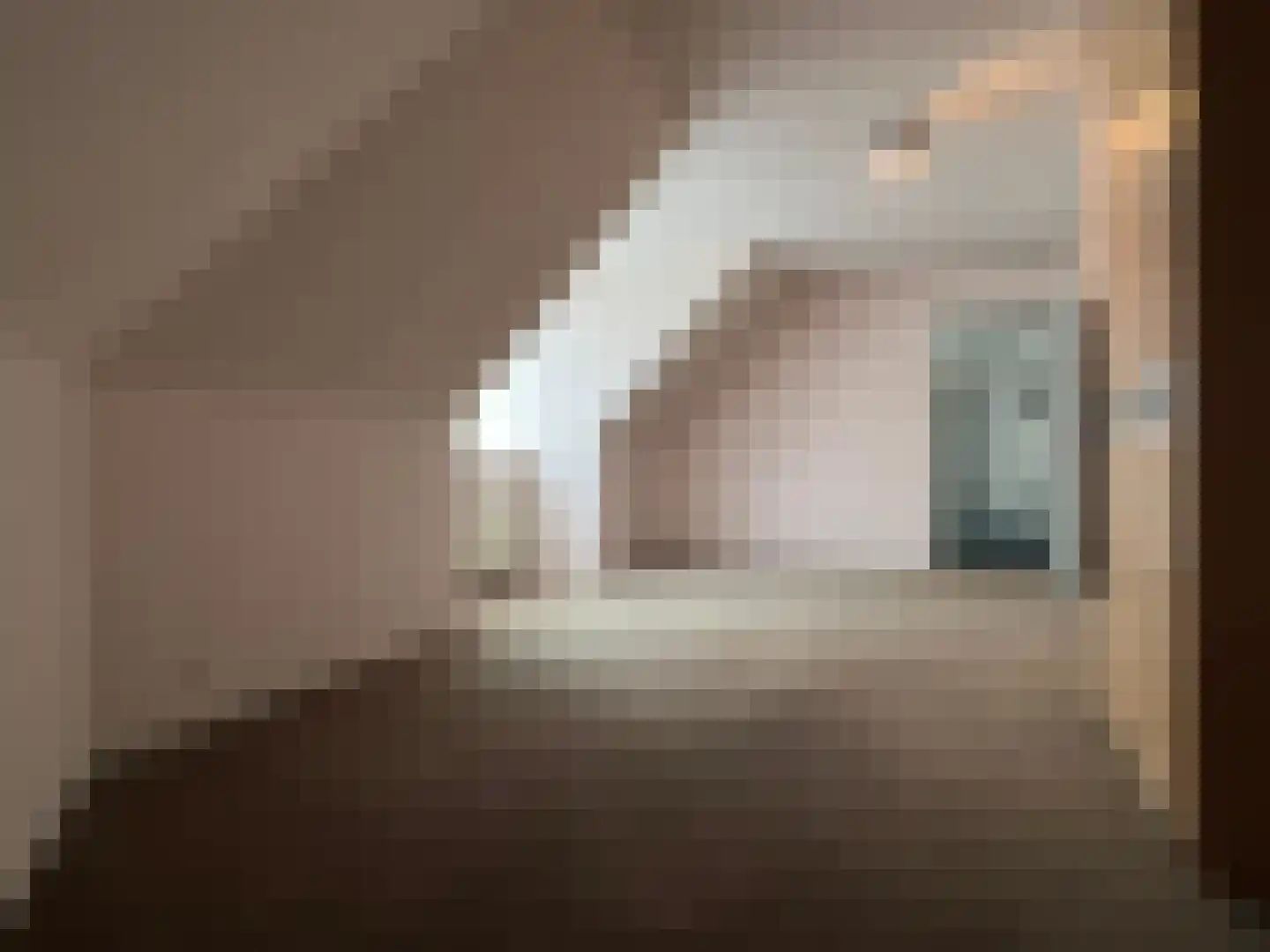 De Bleek 4 Montfoort thumbnail 28