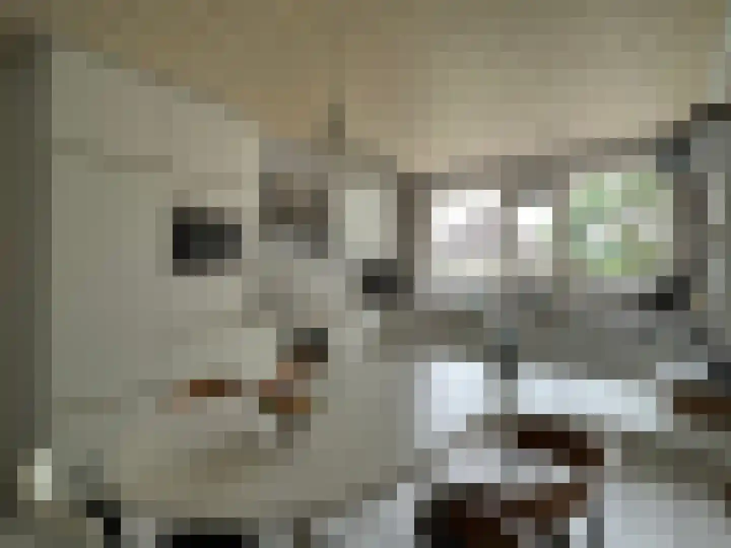 De Bleek 4 Montfoort thumbnail 8