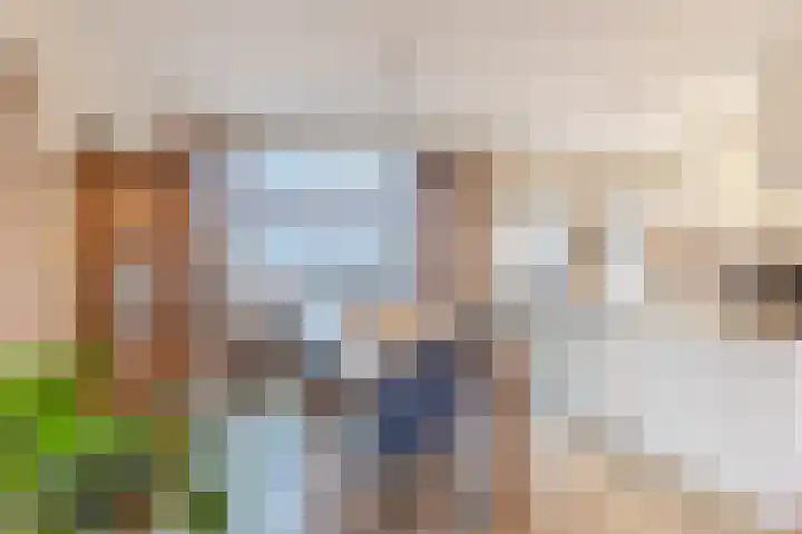 De Bleek 7 Montfoort thumbnail 10