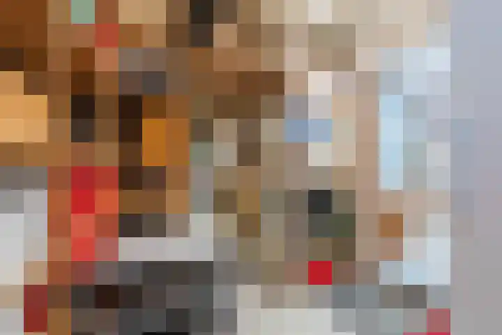 De Bleek 7 Montfoort thumbnail 17