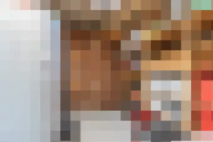 De Bleek 7 Montfoort thumbnail 18